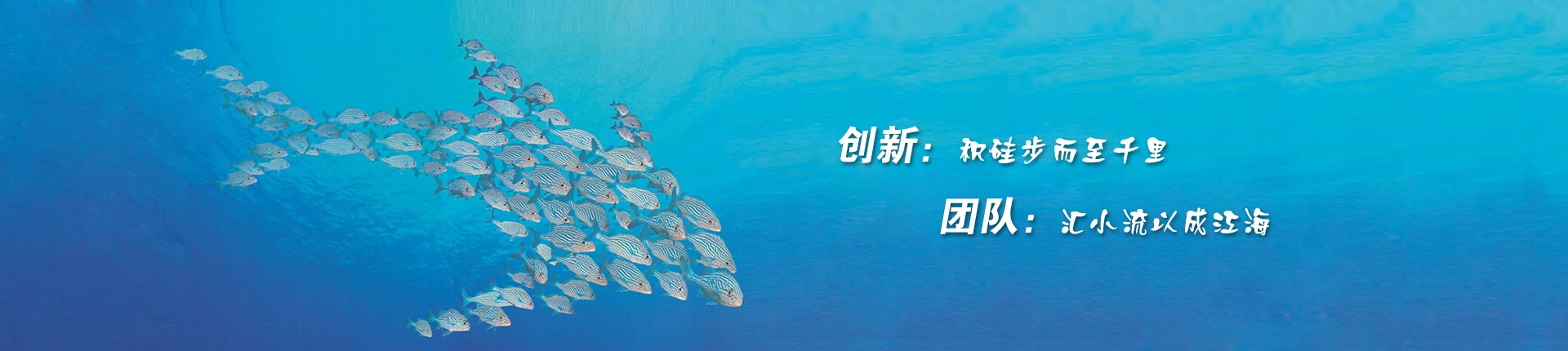 联系力创佰特智能科技